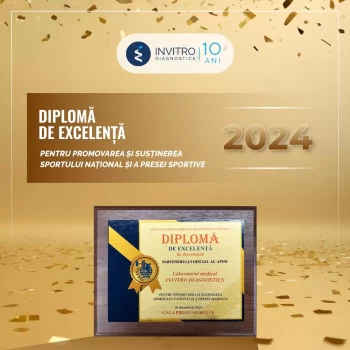 certificate 7