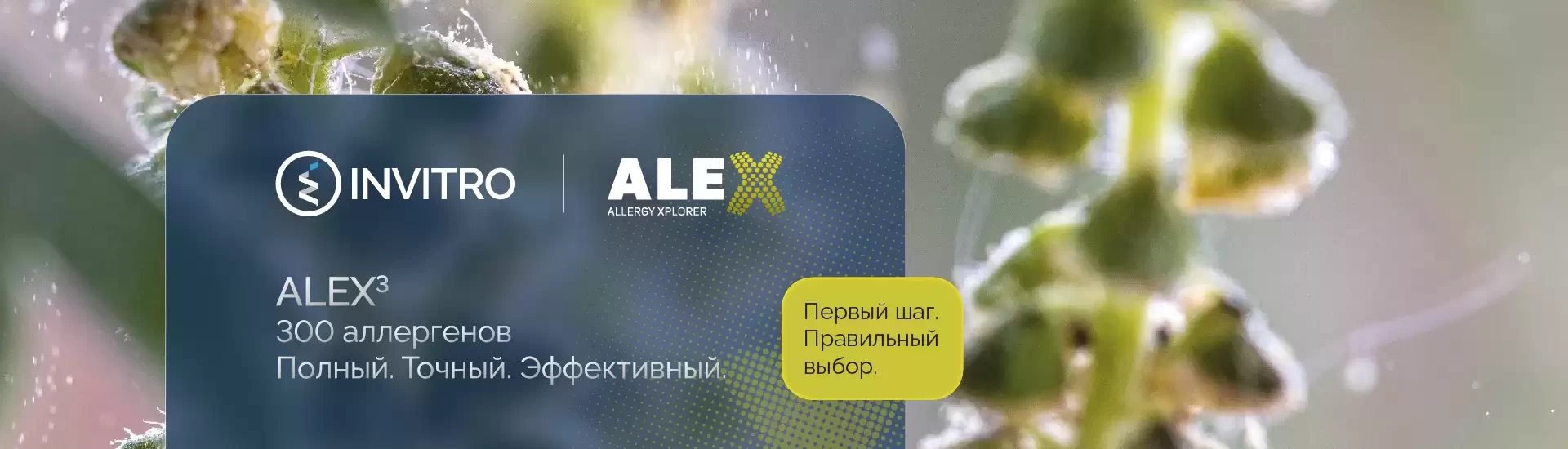 Максимально полный тест для выявления аллергий – ALEX3