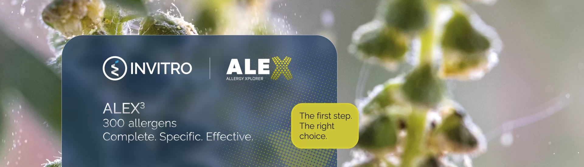 The most comprehensive allergy test – ALEX3